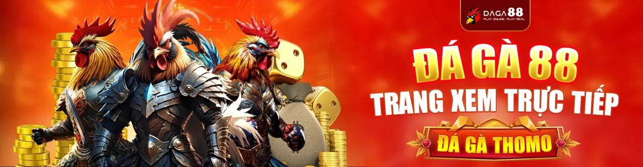 Bước 2: Nạp tiền và bắt đầu trải nghiệm