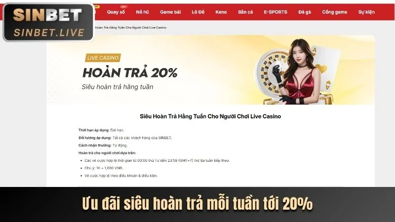 Cập nhật thị trường cá cược thể thao